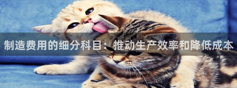 彩神VII官方版：制造费用的细分科目：推动生产效率和降低成本