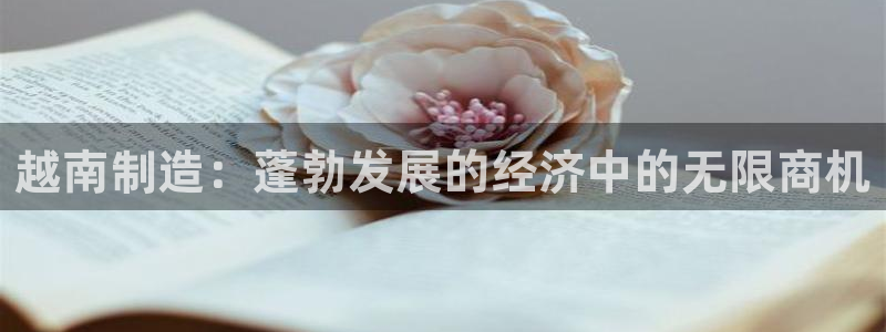 彩神vi争霸官网：越南制造：蓬勃发展的经济中的无限商机