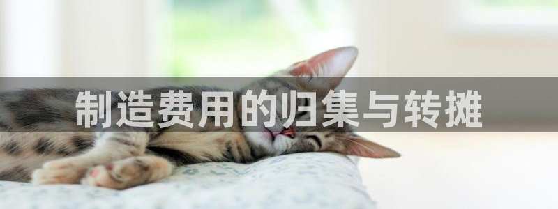 彩神v8平台正规吗可靠吗：制造费用的归集与转摊