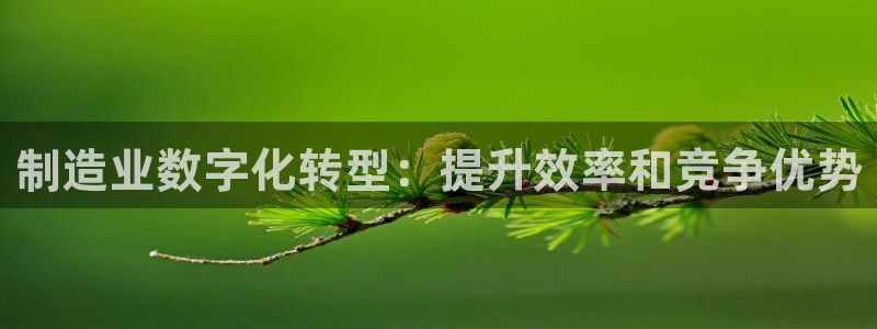 彩神购彩购彩大厅入口v：制造业数字化转型：提升效率和竞争优势