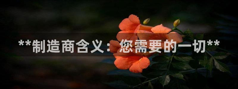 彩神通关注码金码对应码：**制造商含义：您需要的一切**