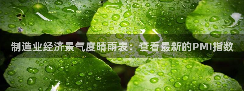 彩神vii官网大赢家：制造业经济景气度晴雨表：查看最新的PMI指数