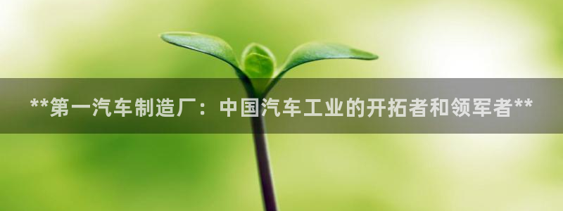 彩神赢的钱是哪里来的：**第一汽车制造厂：中国汽车工业的开拓者和领军者**