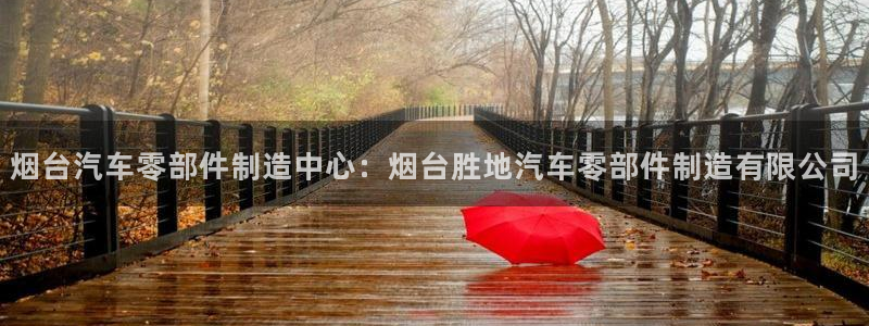 彩神v8下载app5.0：烟台汽车零部件制造中心：烟台胜地汽车零部件制造有限公司