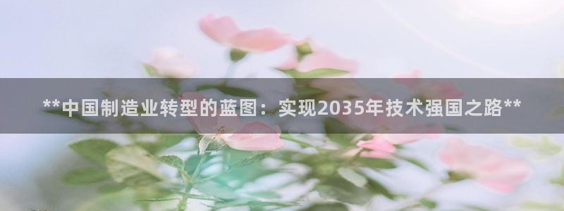 新版彩神v8登录不了：**中国制造业转型的蓝图：实现2035年技术强国之路**