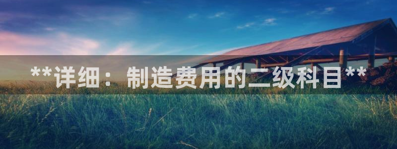 彩神V集团公司：**详细：制造费用的二级科目**