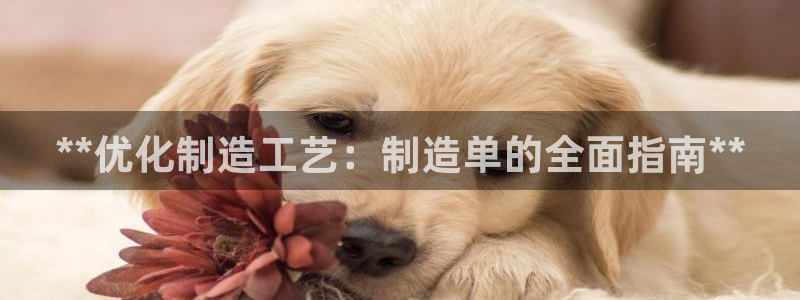 彩神v：**优化制造工艺：制造单的全面指南**