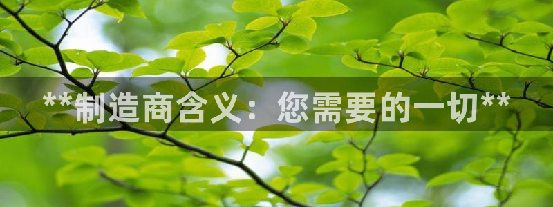 彩神ix官网是哪个公司的：**制造商含义：您需要的一切**