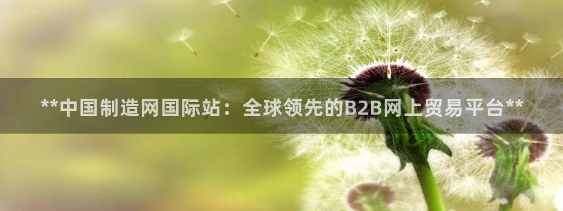 彩神v8是一个什么平台啊：**中国制造网国际站：全球领先的B2B网上贸易平台**