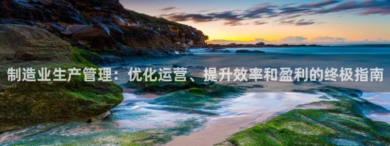 彩神VI首页：制造业生产管理：优化运营、提升效率和盈利的终极