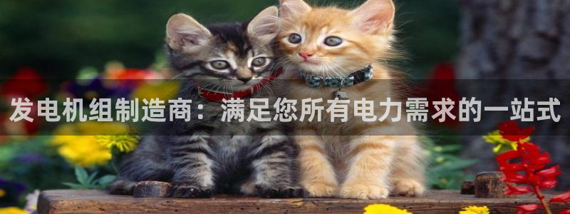 彩神大发cp：发电机组制造商：满足您所有电力需求的一站式