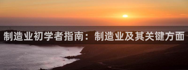 彩神vip购彩大厅：制造业初学者指南：制造业及其关键方面