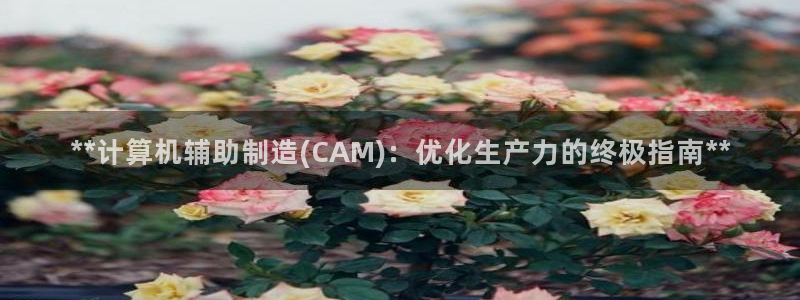 彩神购彩-购彩大厅入口36fr：**计算机辅助制造(CAM)：优化生产力的终极指南**