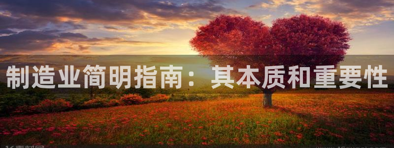 彩神v8平台正规吗可靠吗：制造业简明指南：其本质和重要性