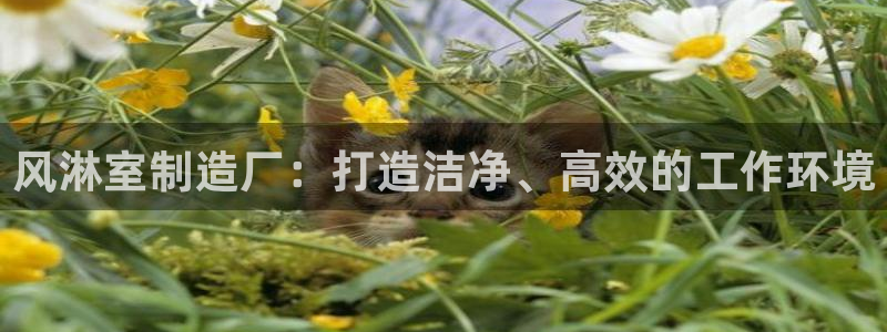 所有彩神购买首页：风淋室制造厂：打造洁净、高效的工作环境