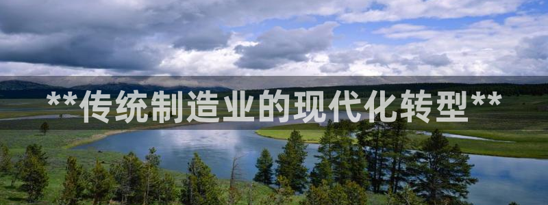彩神天下专家专栏：**传统制造业的现代化转型**