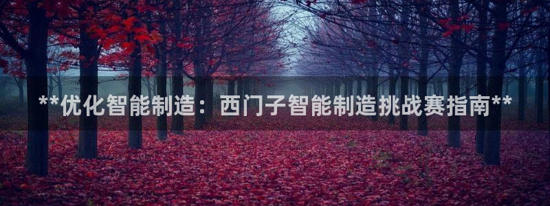 彩神vll官网在线登录：**优化智能制造：西门子智能制造挑战赛指南**