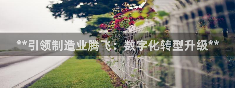 彩神到底能不能赚钱：**引领制造业腾飞：数字化转型升级**