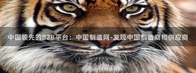 彩神viii下载安卓：中国领先的B2B平台：中国制造网-发现中国制造商和供应商