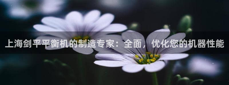 彩神vii手游下载：上海剑平平衡机的制造专家：全面，优化您的机器性能