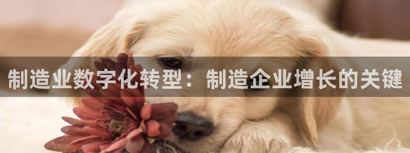 彩神网正规吗：制造业数字化转型：制造企业增长的关键