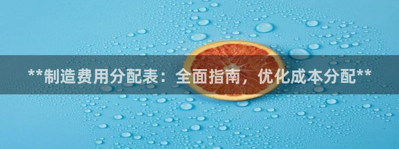 彩神盈利图片：**制造费用分配表：全面指南，优化成本分配**