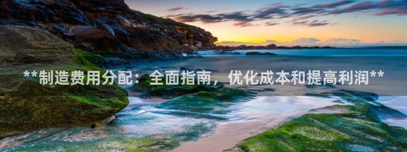 彩神vll购彩大厅大众：**制造费用分配：全面指南，优化成本和提高利润**