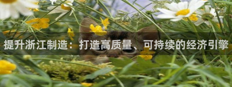 彩神VI首页：提升浙江制造：打造高质量、可持续的经济引擎
