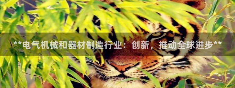 彩神Vll购彩大厅：**电气机械和器材制造行业：创新，推动全球进步**