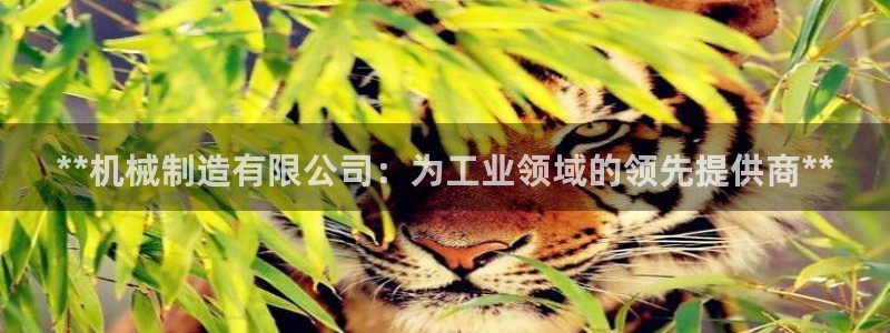 彩神争霸官方登录：**机械制造有限公司：为工业领域的领先提供商**