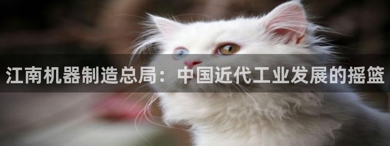 新版彩神v8登录不了：江南机器制造总局：中国近代工业发展的摇篮