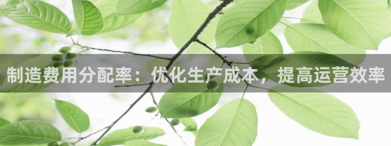 彩神是怎样一个平台赚钱的：制造费用分配率：优化生产成本，提高运营效率