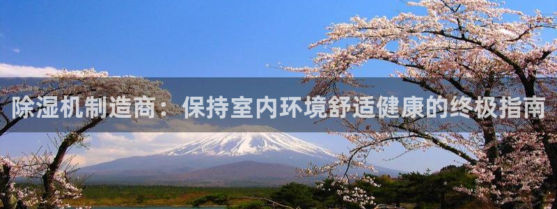 彩神v8手机客户端在哪：除湿机制造商：保持室内环境舒适健康的终极指南