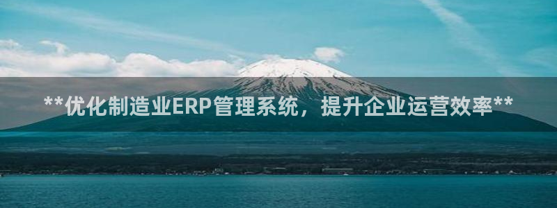 彩神盈利图片：**优化制造业ERP管理系统，提升企业运营效率