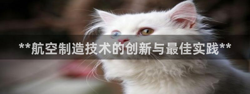 彩神购彩购彩大厅入口v：**航空制造技术的创新与最佳实践**