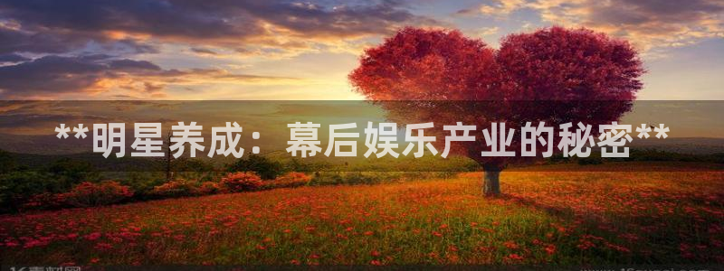 彩神ⅴll用户登录：**明星养成：幕后娱乐产业的秘密**