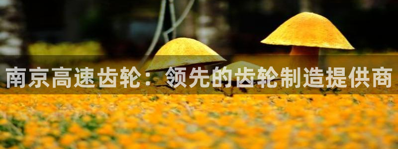 彩神vlll(中国)百度百科：南京高速齿轮：领先的齿轮制造提供商