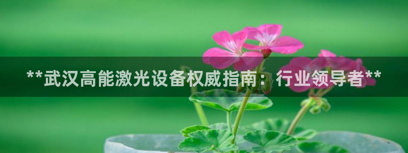 彩神旗下有哪些平台可以玩：**武汉高能激光设备权威指南：行业