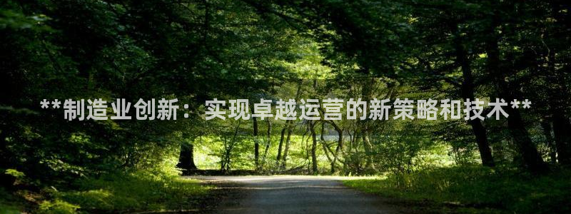彩神旗下有哪些平台可以玩：**制造业创新：实现卓越运营的新策略和技术**