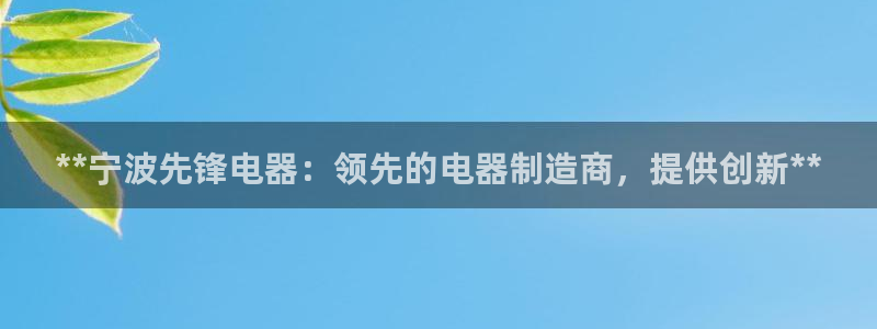下载彩神通关注金码：**宁波先锋电器：领先的电器制造商，提供创新**