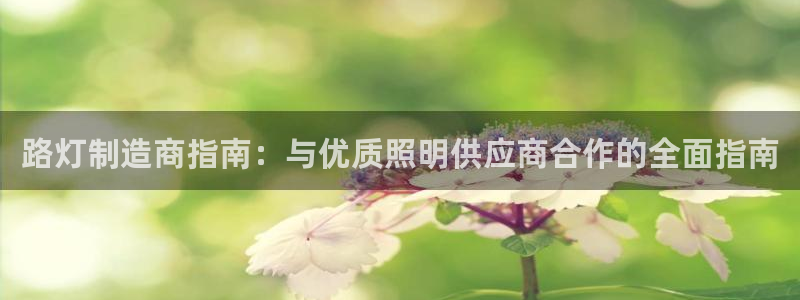 彩神购彩-购彩大厅入口36fr：路灯制造商指南：与优质照明供应商合作的全面指南