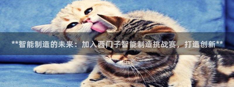 彩神平台：**智能制造的未来：加入西门子智能制造挑战赛，打造创新**