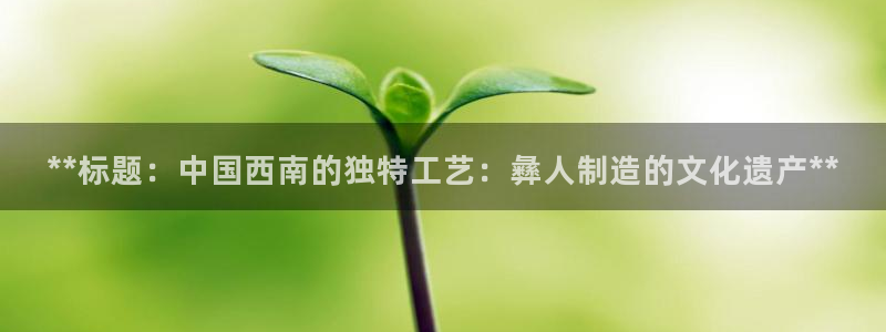 彩神VII购彩中心：**标题：中国西南的独特工艺：彝人制造的文化遗产**