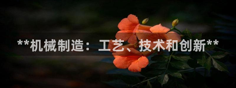 天天赢彩神：**机械制造：工艺、技术和创新**
