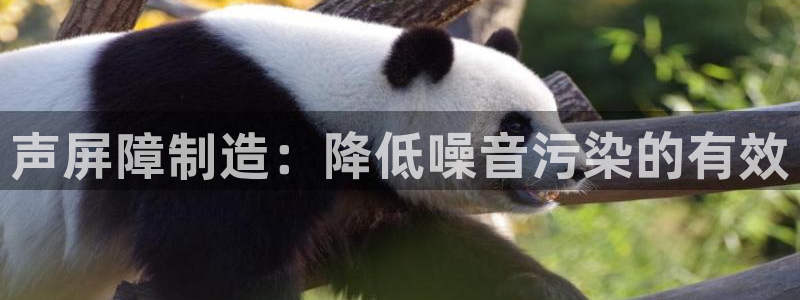 下载彩神通关注金码：声屏障制造：降低噪音污染的有效