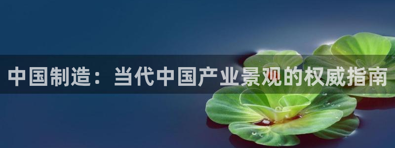 彩神vlll官方网：中国制造：当代中国产业景观的权威指南