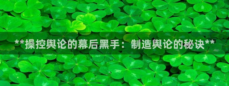 彩神iv是正规平台吗?：**操控舆论的幕后黑手：制造舆论的秘诀**