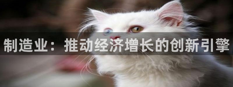 彩神v破解版