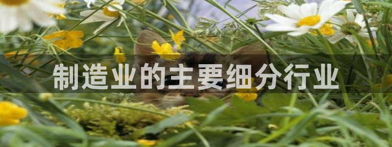 彩神iv真的能赚钱吗：制造业的主要细分行业
