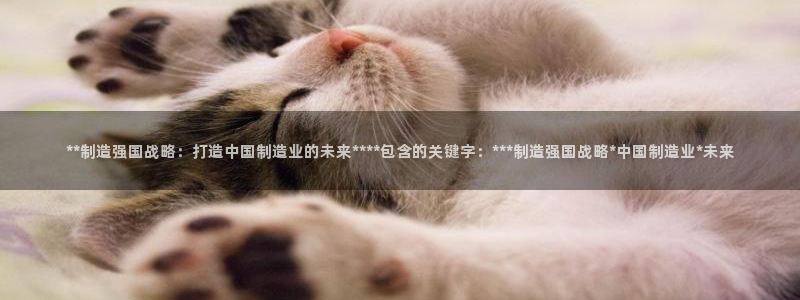 下载彩神乐发V：**制造强国战略：打造中国制造业的未来***